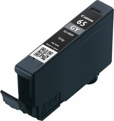 CANON CLI-65 GY EUR/OCN Ink Cartridge цена и информация | Картриджи для струйных принтеров | kaup24.ee