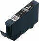 CANON CLI-65 GY EUR/OCN Ink Cartridge hind ja info | Tindiprinteri kassetid | kaup24.ee