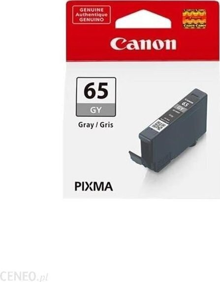 CANON CLI-65 GY EUR/OCN Ink Cartridge hind ja info | Tindiprinteri kassetid | kaup24.ee