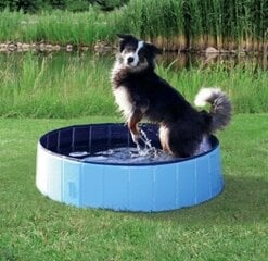 Бассейн для собак Flamingo Doggy Splatter, 80x20 см, синий цена и информация | Бассейны | kaup24.ee