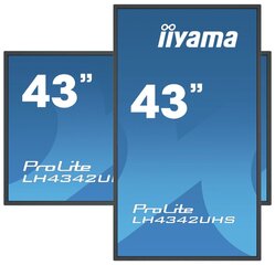 iiyama LH4342UHS-B3, 43'' цена и информация | Телевизоры | kaup24.ee