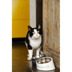 Меламиновая миска для кошек Beeztees DBL, белая цена и информация | Миски, ящики для корма | kaup24.ee