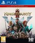 PlayStation4 mäng Kings Bounty II (Day One Edition) цена и информация | Arvutimängud, konsoolimängud | kaup24.ee