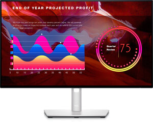 LCD Monitor|DELL|U2422H|23.8"|Panel IPS|1920x1080|16:9|8 ms|Swivel|Pivot|Height adjustable|Tilt|210-AYUI hind ja info | Monitorid | kaup24.ee