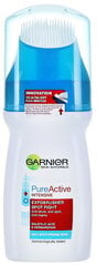 Garnier pure active intense exfobrusher  garnier цена и информация | Garnier Защитные, дезинфицирующие средства, медицинские товары | kaup24.ee