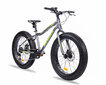 Maastikuratas Fatbike Insera Muffle 24” hind ja info | Jalgrattad | kaup24.ee