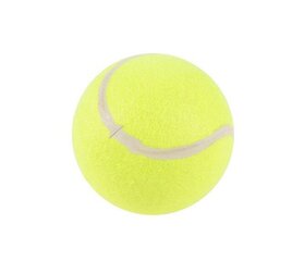 Mänguasi-tennisepall Love Story, ø15 cm hind ja info | Poiste mänguasjad | kaup24.ee