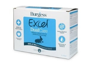 BURGESS EXCEL пищевая добавка для кроликов и морских свинок DUALCARE 60G N10 цена и информация | Корм для грызунов | kaup24.ee