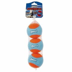 CHUCKIT игрушка для собак AMPHIBIOUS BALLS PACK цена и информация | Игрушки для собак | kaup24.ee