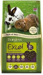 BURGESS EXCEL KÜÜLIKU TÄISSÖÖT MINT 10KG цена и информация | Корм для грызунов | kaup24.ee