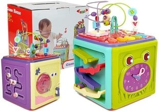 Multifunktsionaalne tegevuskeskus Lean Toys Game House цена и информация | Игрушки для малышей | kaup24.ee