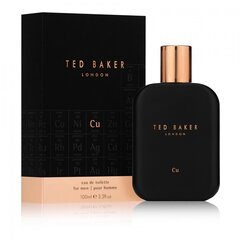 Ted Baker Cu EDT meestele 100 ml hind ja info | Meeste parfüümid | kaup24.ee