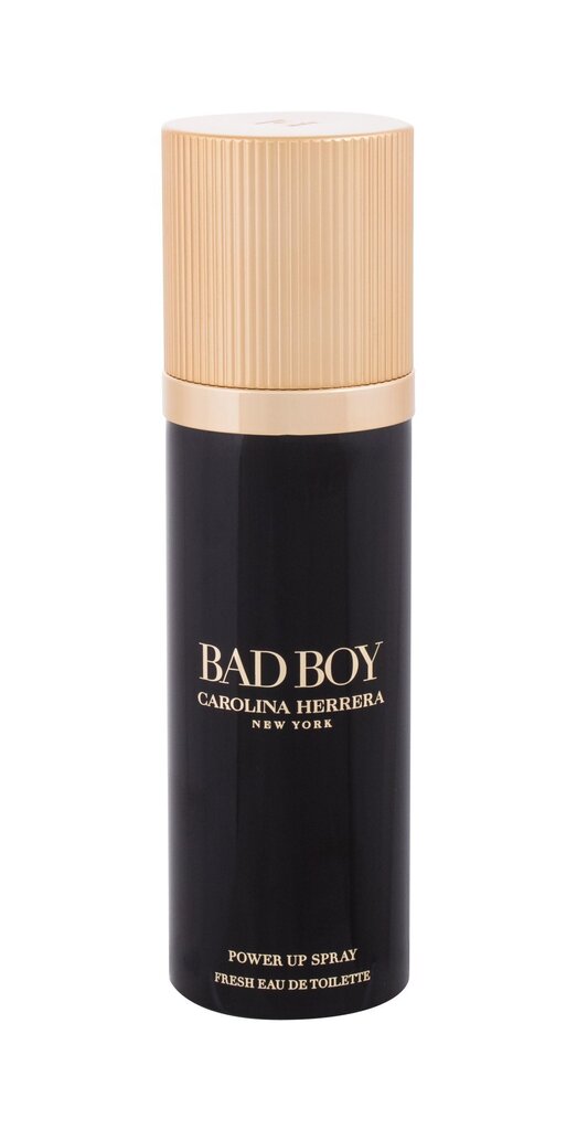 Carolina Herrera Bad Boy Power up Spray EDT meestele 100 ml цена и информация | Meeste parfüümid | kaup24.ee
