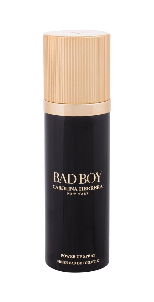 Carolina Herrera Bad Boy Power up Spray EDT meestele 100 ml hind ja info | Meeste parfüümid | kaup24.ee