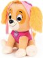 Paw Patrol pehme mänguasi Skye, 22 cm hind ja info | Pehmed mänguasjad | kaup24.ee