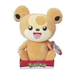 JAZWARES POKEMON 25 cm Pehme mänguasi, asst hind ja info | Pehmed mänguasjad | kaup24.ee