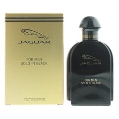 Jaguar For Men Gold in Black EDT для мужчин 100 мл цена и информация | Jaguar Духи, косметика | kaup24.ee