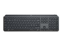 Клавиатура Logitech MX Keys, серая цена и информация | Клавиатуры | kaup24.ee