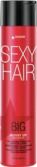 Volüümi andev šampoon Sexy Hair Big Boost Up 300 ml цена и информация | Шампуни | kaup24.ee