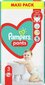 Püksmähkmed Pampers Pants Maxi Pack 3 suurus, 56 tk цена и информация | Mähkmed | kaup24.ee