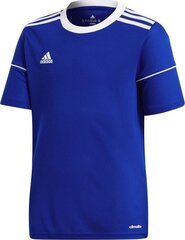 Meeste T-särk Adidas Squadra 17 M S99149, sinine hind ja info | Jalgpalli varustus ja riided | kaup24.ee