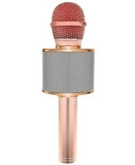 Микрофон для караоке с эффектами изменения голоса WS-858 цена и информация | Развивающие игрушки | kaup24.ee