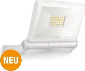 Светодиодные прожекторы для дома, 1шт. цена и информация | Фонарики, прожекторы | kaup24.ee