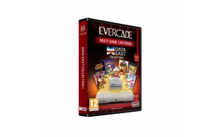 Data East Collection 1 incl. 10 Games, Evercade hind ja info | Arvutimängud, konsoolimängud | kaup24.ee