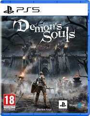 Demon’s Souls, PS5 цена и информация | Компьютерные игры | kaup24.ee