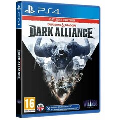 Dungeons & Dragons: Dark Alliance - Steelbook Edition, PS4 цена и информация | Компьютерные игры | kaup24.ee