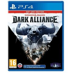 Dungeons & Dragons: Dark Alliance - Steelbook Edition, PS4 цена и информация | Компьютерные игры | kaup24.ee