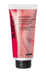 Šampoon värvitud juustele Brelil Professional Numero, 300 ml hind ja info | Šampoonid | kaup24.ee