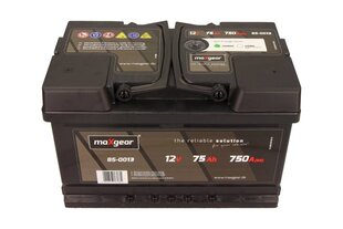 Аккумулятор Maxgear 75AH 750A цена и информация | Аккумуляторы | kaup24.ee