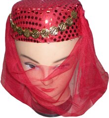 Arabic Dancing Fancy Dress Veil Hat hind ja info | Naiste sallid | kaup24.ee