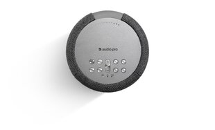 Audio Pro A10 Dark, hall hind ja info | Kõlarid | kaup24.ee