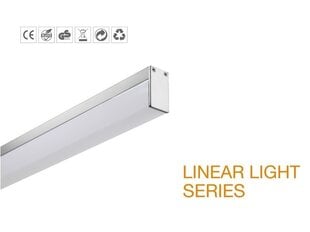 Светодиодный потолочный светильник G.LUX GR-LED11-15,5W LINE цена и информация | Потолочные светильники | kaup24.ee