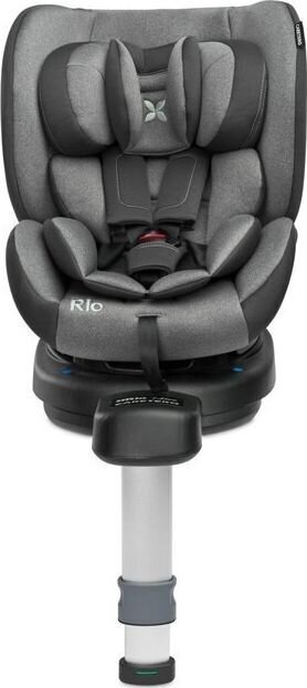 Turvatool Caretero Rio 0-18 kg, grey hind ja info | Turvatoolid | kaup24.ee