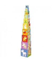 Kuubikute püramiid Haba hind ja info | Imikute mänguasjad | kaup24.ee