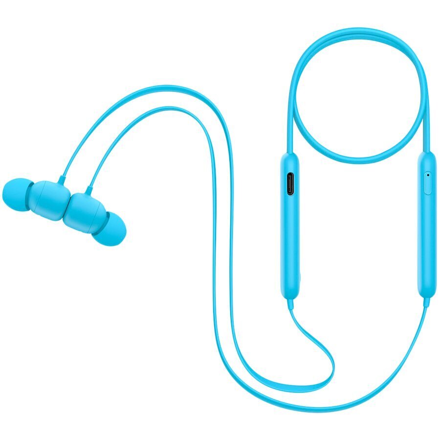 Beats Flex All-Day Wireless Earphones Flame Blue MYMG2ZM/A цена и информация | Kõrvaklapid | kaup24.ee