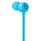 Beats Flex – All-Day Wireless Earphones - Flame Blue - MYMG2ZM/A hind ja info | Kõrvaklapid | kaup24.ee