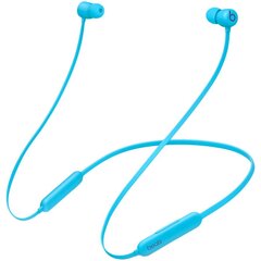 Beats Flex – All-Day Wireless Earphones - Flame Blue - MYMG2ZM/A цена и информация | Наушники | kaup24.ee