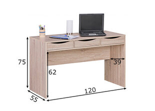 Письменный стол Samo III, сонома дуб  цена и информация | Компьютерные, письменные столы | kaup24.ee
