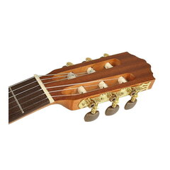 Klassikaline kitarr Salvador Cortez CC-06-PA hind ja info | Kitarrid | kaup24.ee