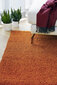 Narma narmasvaip Spice, caramel, 120 x 160 cm hind ja info | Vaibad | kaup24.ee