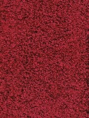 Narma narmasvaip Spice, punane, 133 x 200 cm hind ja info | Vaibad | kaup24.ee