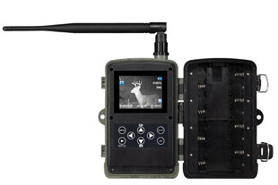 EVOLVEO StrongVision 2 GB, 20 Mpix GSM/MMS-kaamera lõks/aeglõige, jahikaamera, 2G, 8 GB SD, MMS/e-post, 120 ° nurk, microSD, töötab 8xAA patareiga, hind ja info | Jahindustarbed | kaup24.ee