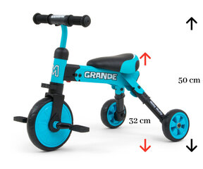 Milly Mally kolmerattaline ratas 2in1 GRANDE, sinine hind ja info | Imikute mänguasjad | kaup24.ee