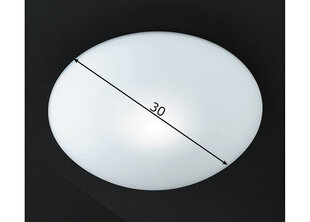 Fischer&Honsel потолочный светильник Pur цена и информация | Потолочные светильники | kaup24.ee