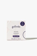 Gallinée lõhnatu prebiootikumidega intiimpesuseep, 100g hind ja info | Seebid | kaup24.ee
