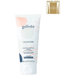 Маска-скраб для лица Gallinee Prebiotic Pleť, 100 мл цена и информация | Маски для лица, патчи для глаз | kaup24.ee